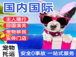 贵阳龙洞堡航空物流国际宠物托运 【国